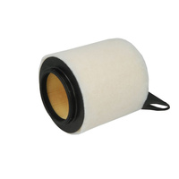 Filtr powietrza Mann-Filter C1361 - BMW E87