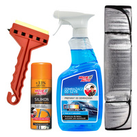 Zimowy zestaw do szyb i uszczelek